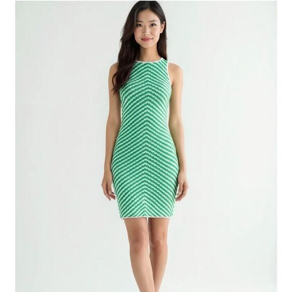 Gianni Bini Green & White Chevron Knit Dress, Small - Picture 1 of 4